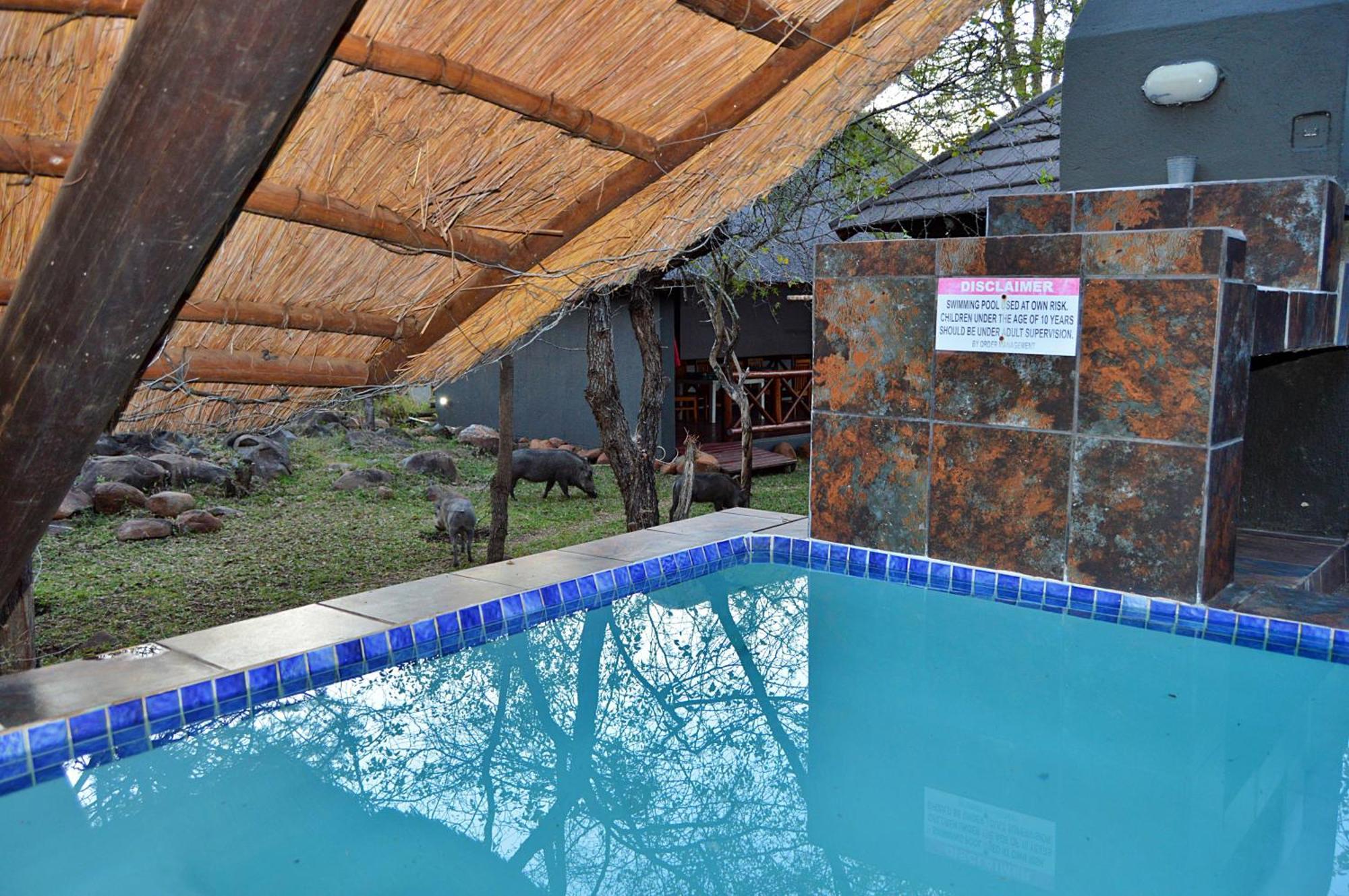 Royal Marlothi Kruger Safari Lodge And Spa Марлот-Парк Экстерьер фото