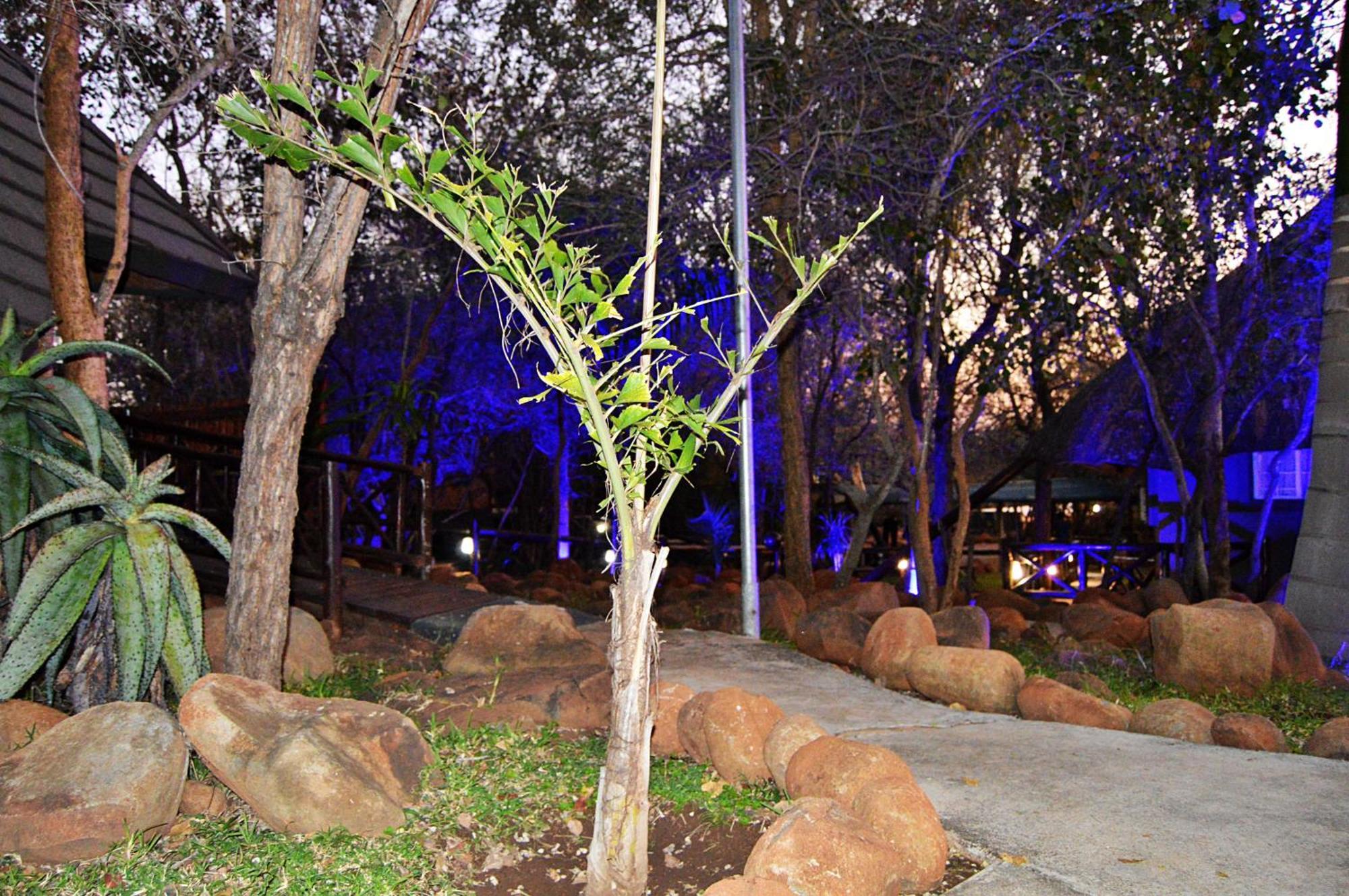 Royal Marlothi Kruger Safari Lodge And Spa Марлот-Парк Экстерьер фото